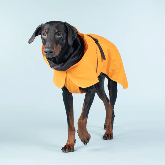 PAIKKA Reflektierende Regenjacke, orange mit leichtem Wolle-Innenfutter (45, 50) – Bild 6