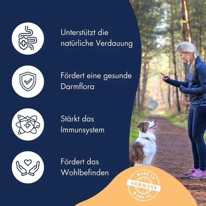 Dr Clauders Functional Coins Belly Ballett, unterstützt die natürliche Verdauung und fördert eine gesunde Darmflora, getreidefrei (Truthahn 95%, Flohsamen 1%, Curcuma) – Bild 4