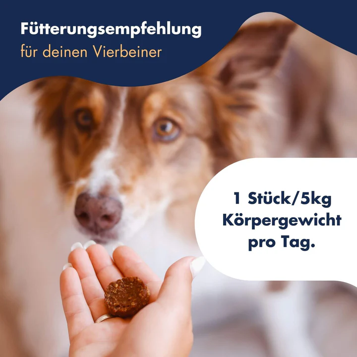 Dr Clauders Functional Coins Belly Ballett, unterstützt die natürliche Verdauung und fördert eine gesunde Darmflora, getreidefrei (Truthahn 95%, Flohsamen 1%, Curcuma) – Bild 3