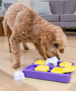 Intelligenzspielzeug Dog Brick Nina Ottosson Hundespielzeug, zum Schieben und mit Klappfächern, bpa-frei (Level 2), purple, 22cm