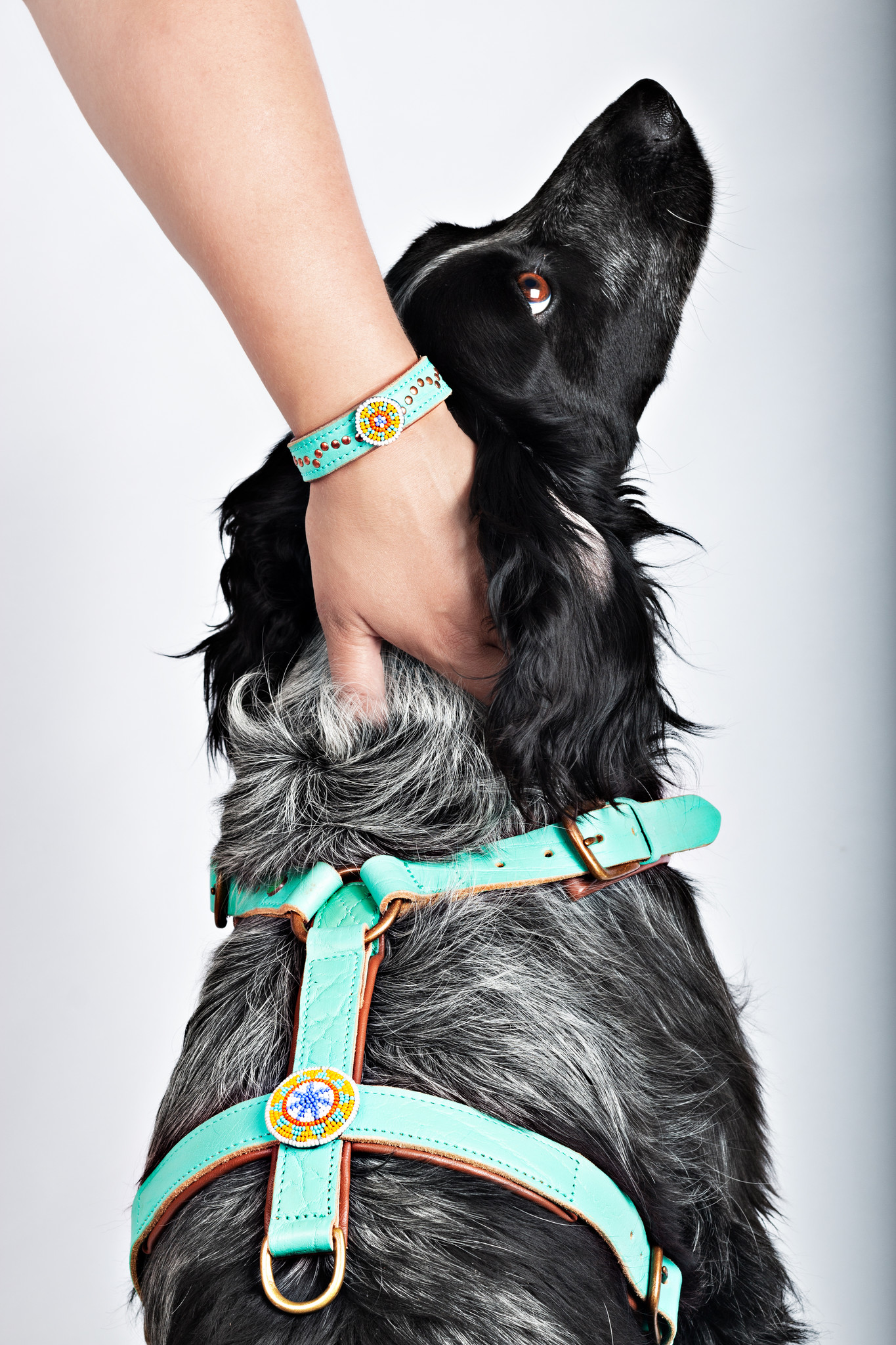 Leder-Geschirr „Avalon“, M – Bild 8