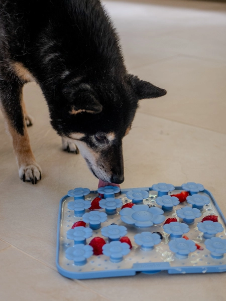 2in1 Schleckmatte mit Saugnäpfen, BPA-frei, 25cm, Level 2, Sand – Bild 5