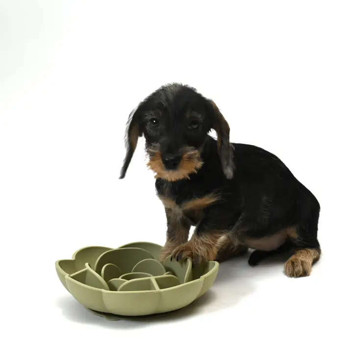 Slowfeeder Rose mit Saugnapf (spülmaschinengeeignet, gefrierschrankgeeignet, bpa-frei, lebensmittelechtes Silikon, 19cm), peach – Bild 3