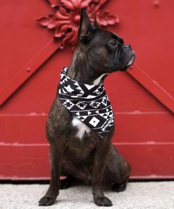 Hunde-Halstuch Pepolli, Hawaii, schwarz-weiß (Kühlbandana)