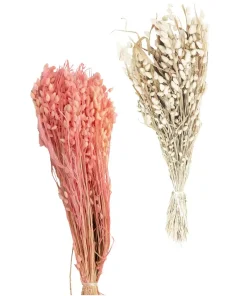 Briza Maxima Zittergräser Trockenblumen Gräser Naturdeko 1 Beutel 50g 2 Farben