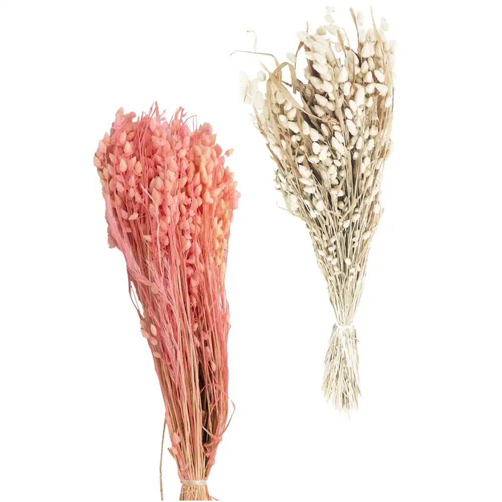 Briza Maxima Zittergräser Trockenblumen Gräser Naturdeko 1 Beutel 50g 2 Farben