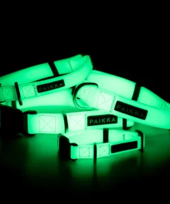 PAIKKA Glow Halsband (leichtes Material, fluoreszierend), L