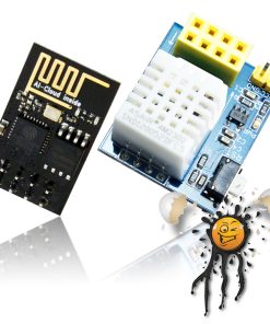 Tasmota WiFi AM2301 DHT22 ESP8266 ESP-01 Set