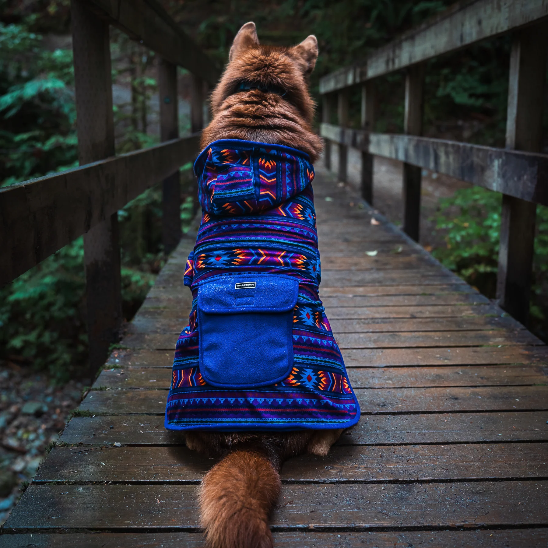 Wilderdog Big Sky Fleecejacke (mit Leinen-Loch, Kapuze, Druckknopftasche) S, M – Bild 6