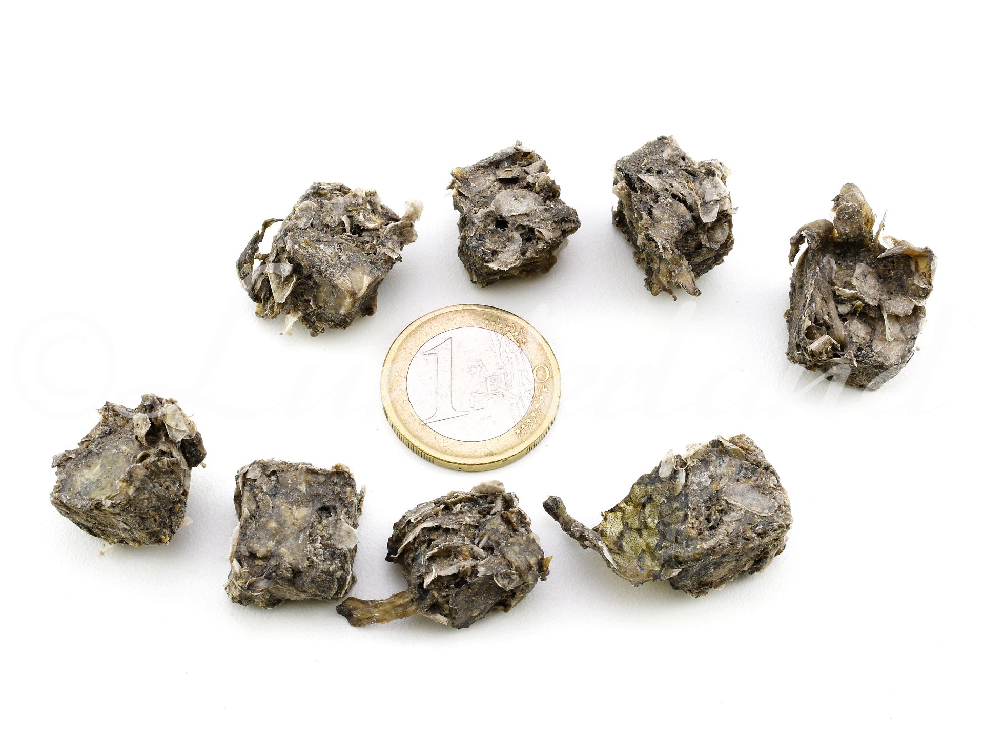 Lunderland Fischhaut-Nuggets, 100% Weißfischhaut, ohne weitere Zusätze, 1cm – Bild 2