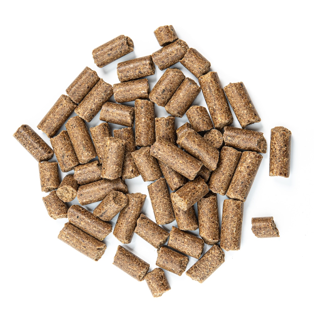 Naturfutter Kalter Hund, Huhn & Reis, kaltgepresstes Trockenfutter hoher Fleischanteil, monoprotein, ohne Getreide & ohne Zucker, produziert mit Strom aus eigener Wasserkraft (100g, 1kg, 15kg) – Bild 3