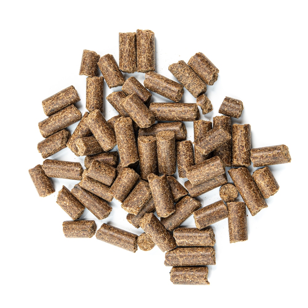 Naturfutter Kalter Hund, Rind & Hirse, kaltgepresstes Trockenfutter hoher Fleischanteil, monoprotein, ohne Getreide & ohne Zucker, produziert mit Strom aus eigener Wasserkraft (100g, 1kg, 5kg, 15kg) – Bild 7