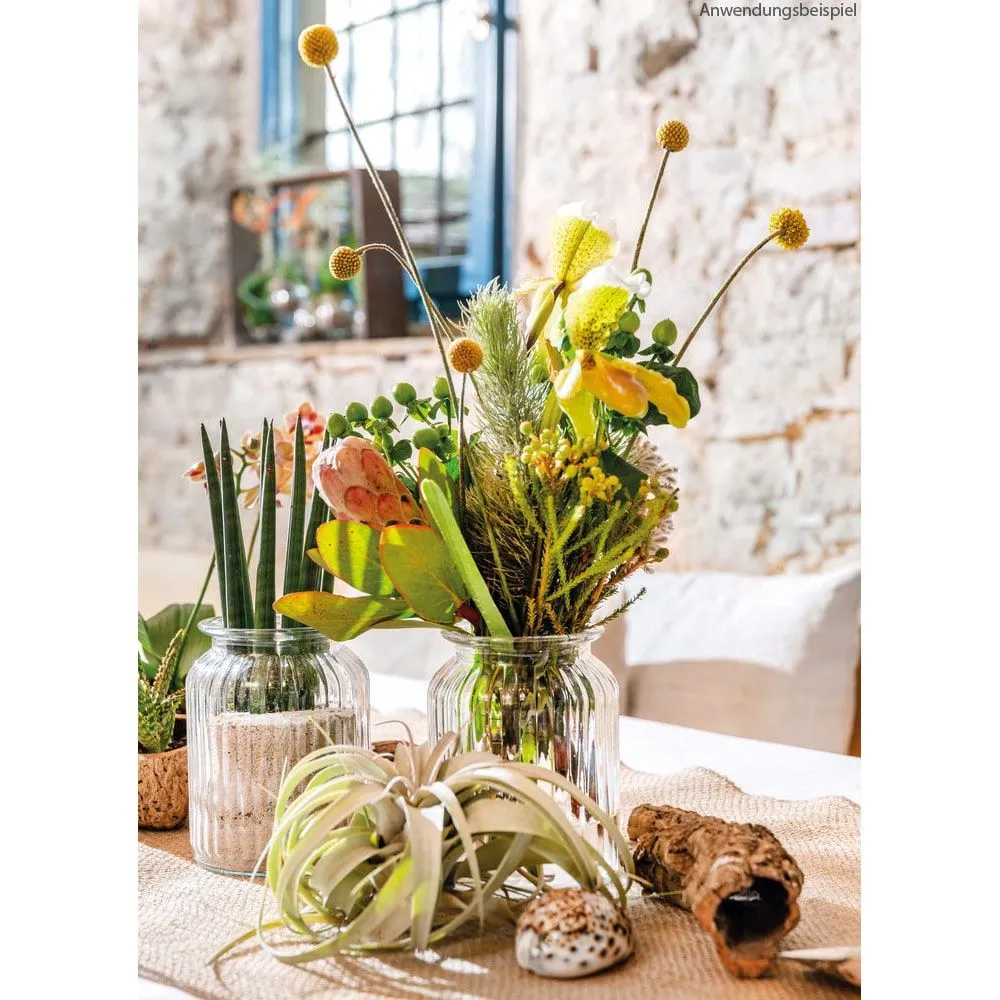 Dekovase Glasvase gerillte Oberfläche Zylinderform Glas klar 1 Stk Ø 11×14,5 cm – Bild 4