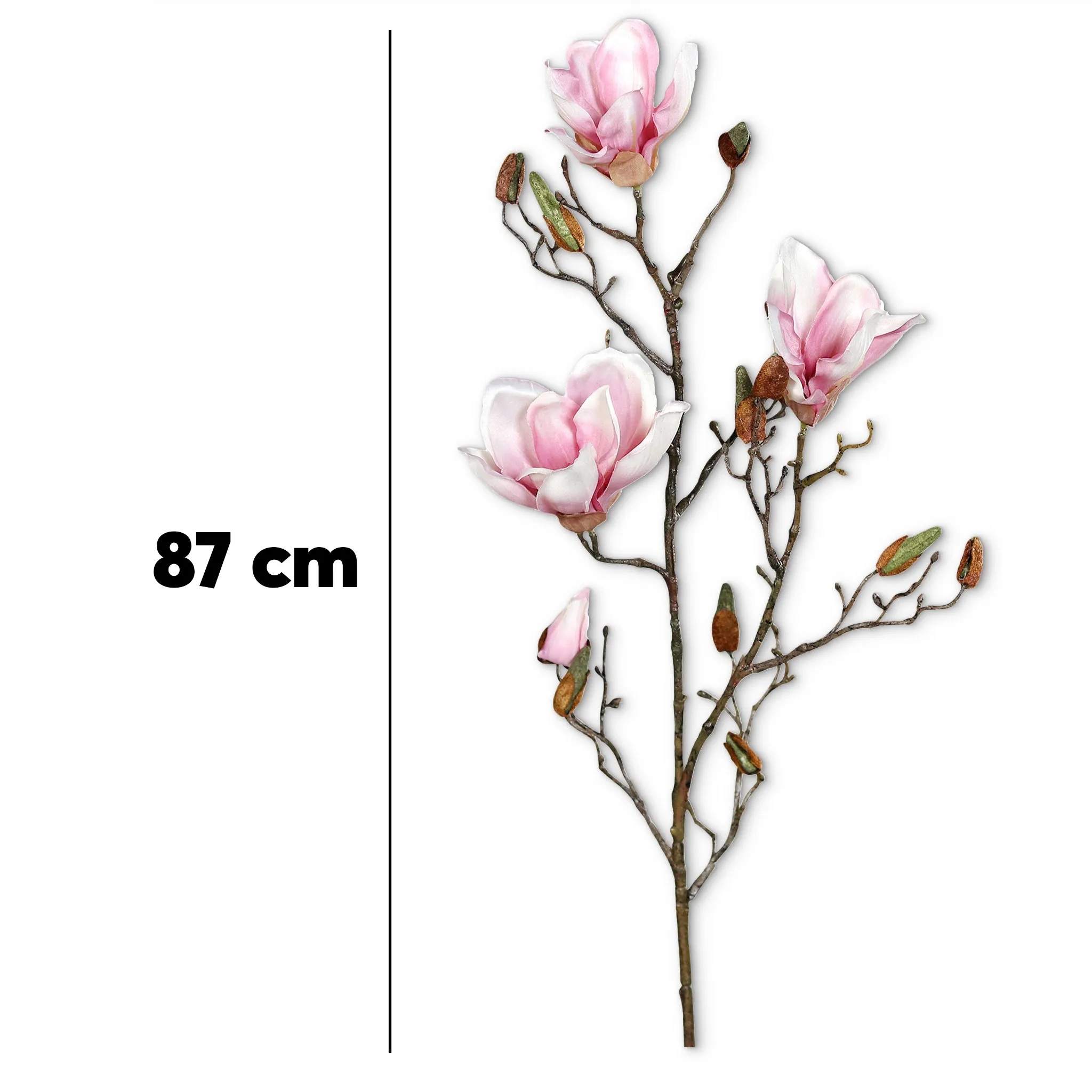 Frühlingszweig Magnolie – Bild 5