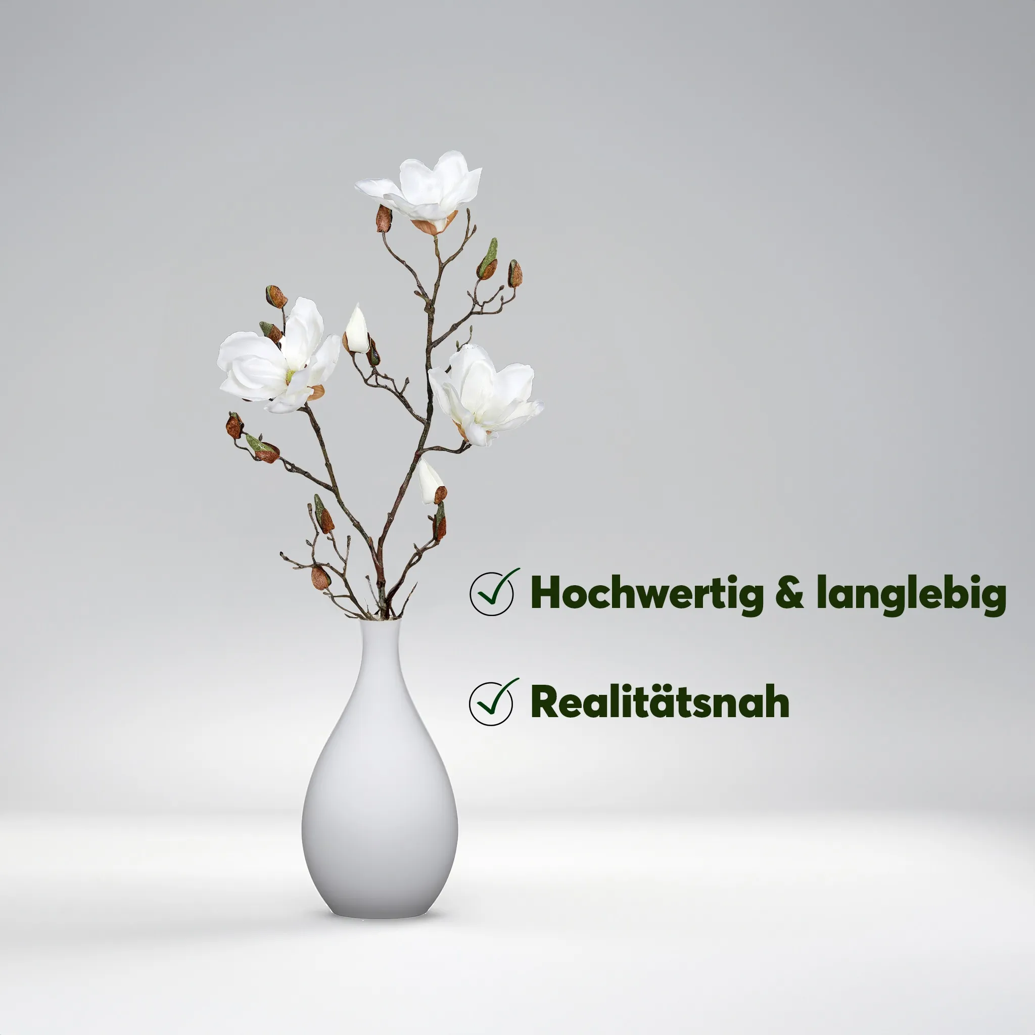 Frühlingszweig Magnolie – Bild 6