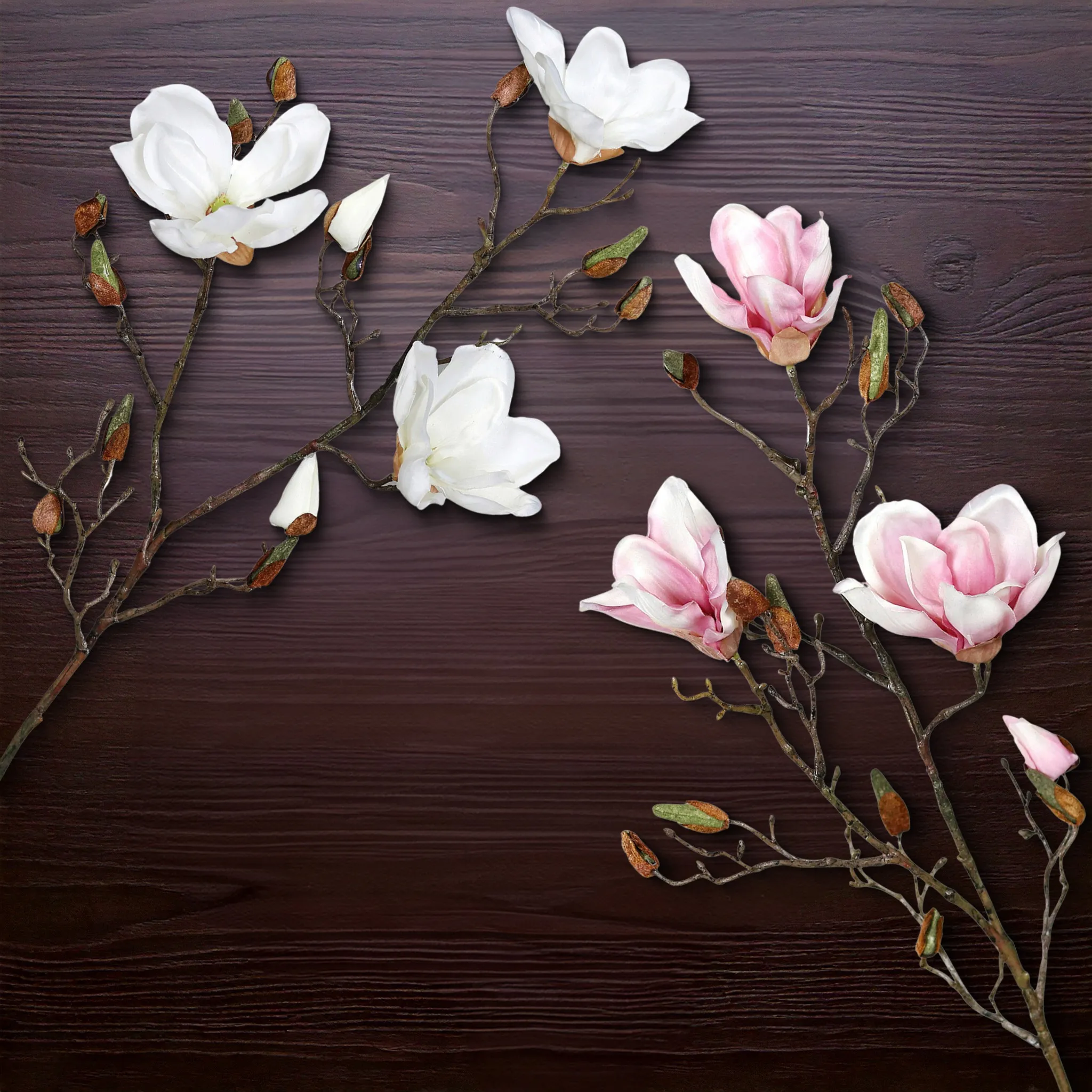 Frühlingszweig Magnolie – Bild 9