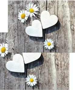 Fußmatten Fußabstreifer DECOR Gänseblümchen & Herzen auf Holz waschbar 2 Größen