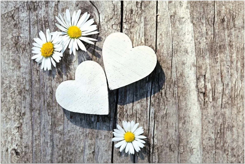 Fußmatten Fußabstreifer DECOR Gänseblümchen & Herzen auf Holz waschbar 2 Größen – Bild 3