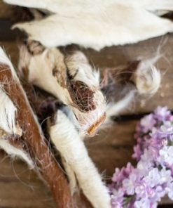 Paul & Paulina Pferdefellstreifen, luftgetrocknet (Darmputzer)