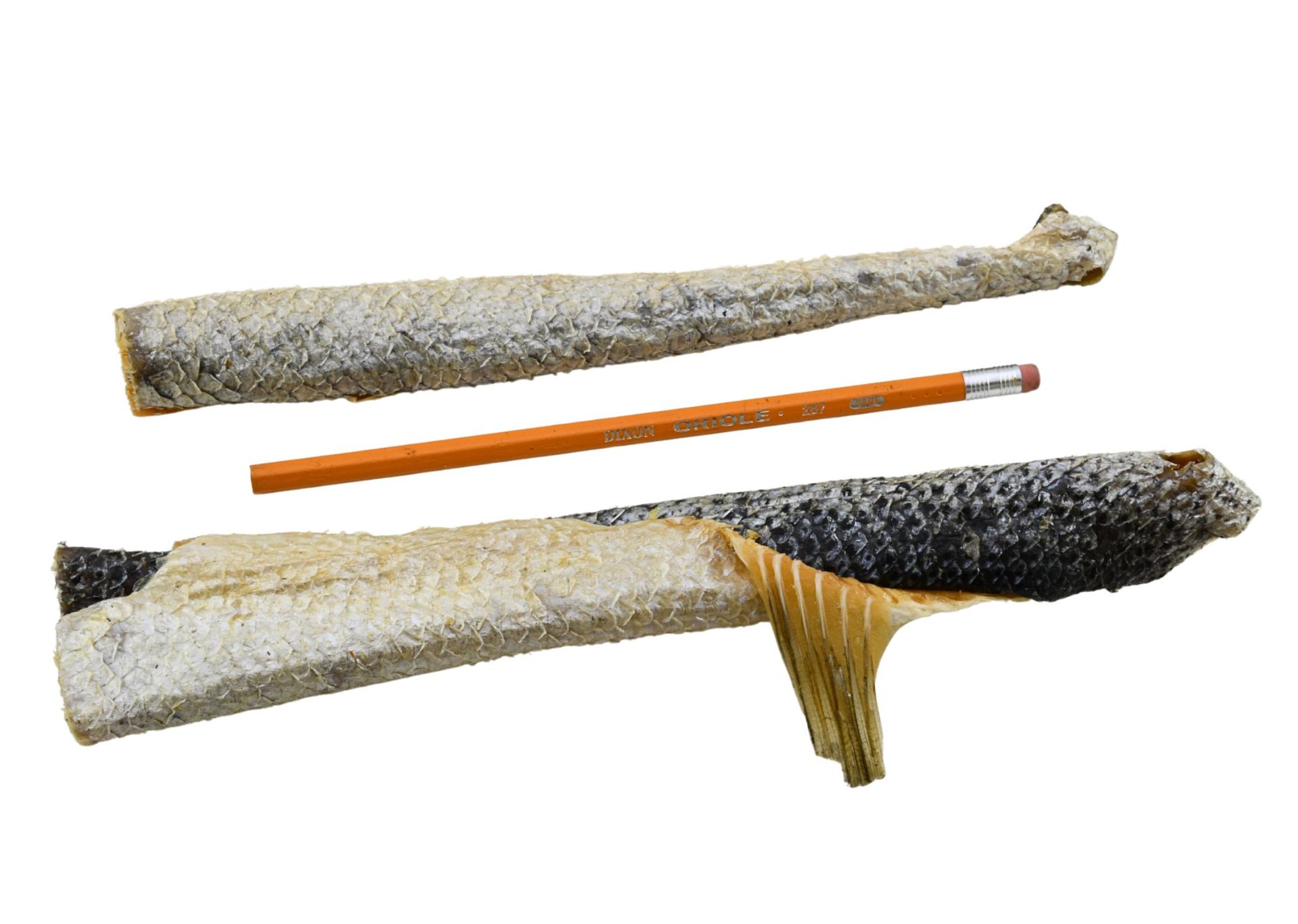 Lunderland Lachshaut mit Fleisch, angenehmer Geruch, 100% Lachs als Omega-3-Quelle, 15-25 cm – Bild 2