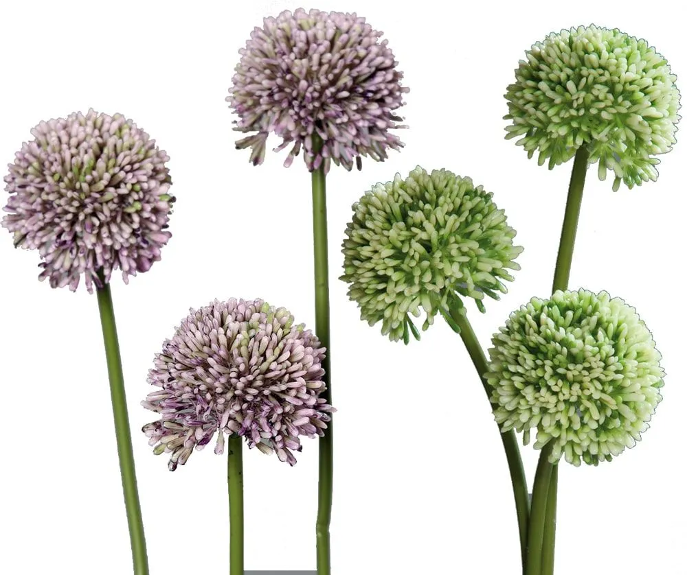 Lauch Blüten Allium Kunstblumen Kunstpflanzen 3er Bund – 46 cm – 2 Farben