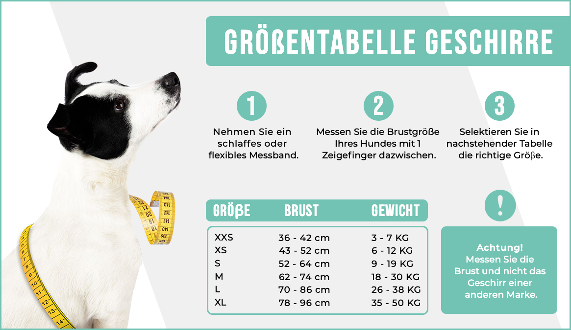 Leder-Geschirr „Avalon“, M – Bild 9