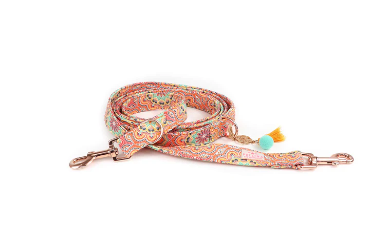 PELLINA 3-fach verstellbare Leine „Hippie Orange“, gold, 1,8m, 30mm breit (L) – Bild 2