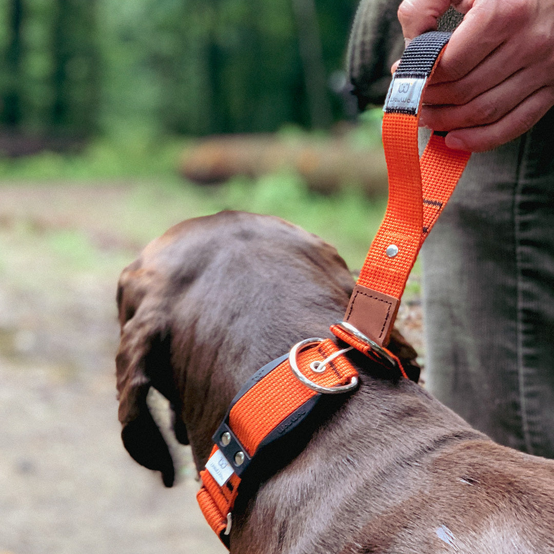 WowWow Halsband mit Leine (bekannt aus der Höhle der Löwen), S, pink Limited Edition – Bild 4
