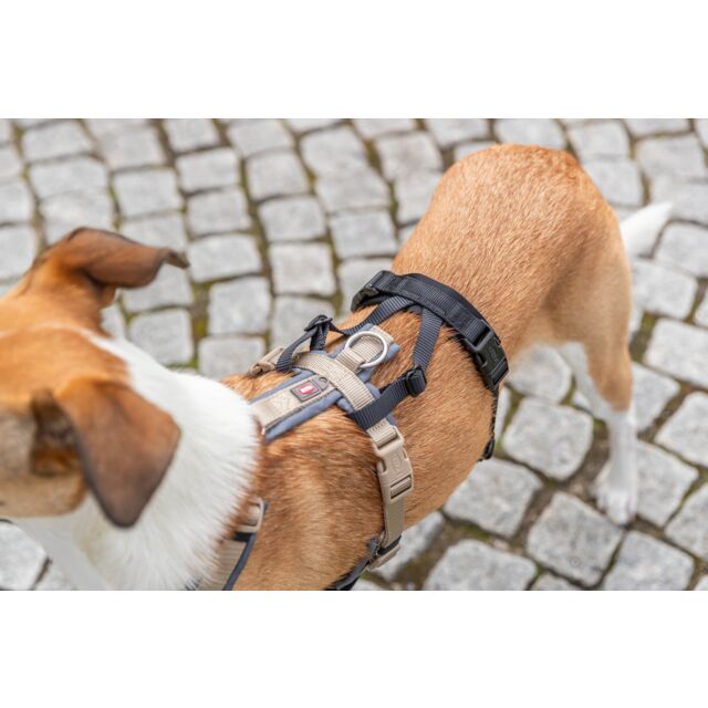 Panik-Adapter „Stay“ für Geschirre, sicherer Sitz durch Schlaufen im Rücken- und Bauchbereich, Neopren-Polsterung, stufenlos verstellbar, z.B. für Wanderung, Urlaub, Silvester (S, L) – Bild 2