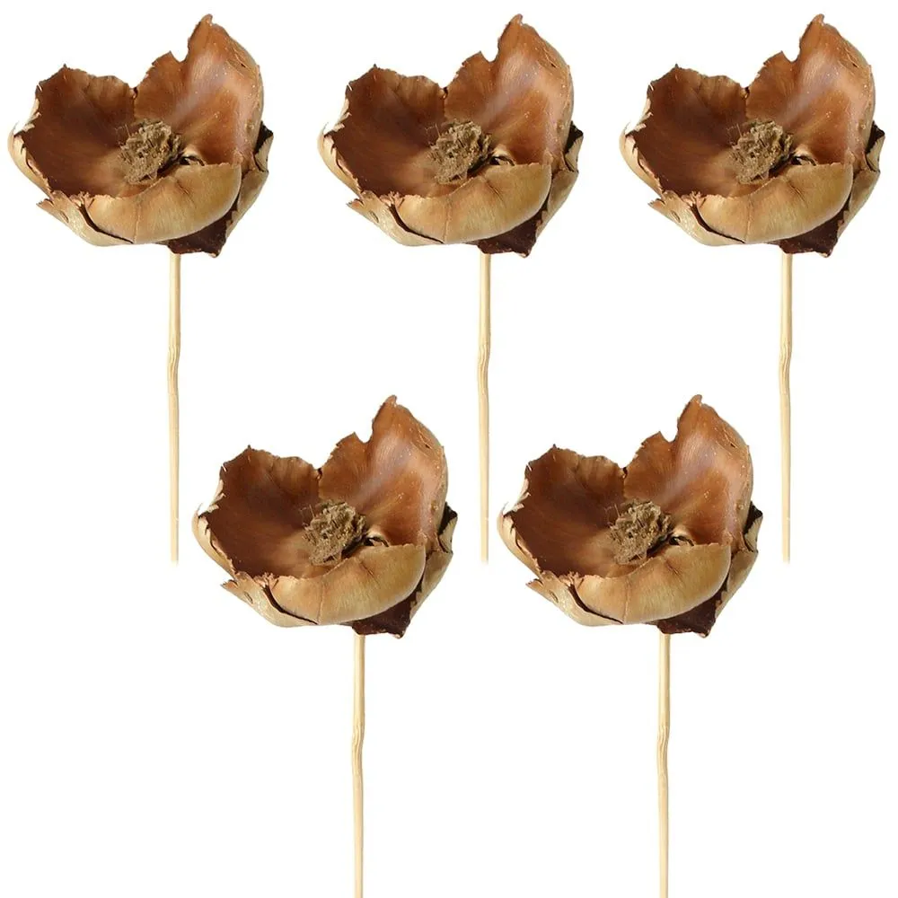 Palm Blut am Stiel Naturdeko lackiert Dekozweige getrocknet natur 5er Set