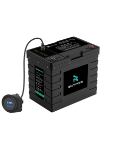 RoyPow IP65 S-Serie Batterie 12V 100Ah, LiFePO4