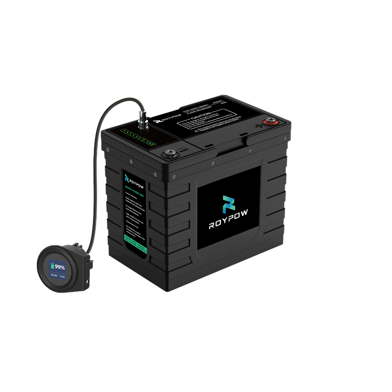 RoyPow IP65 S-Serie Batterie 12V 100Ah, LiFePO4