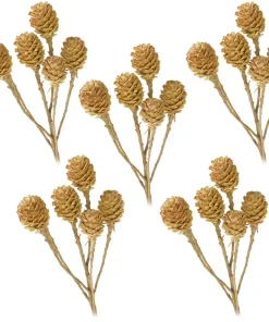 Salignumzweige 6 Köpfe ohne Blätter Trockenblumen basteln natur hell 5er Set