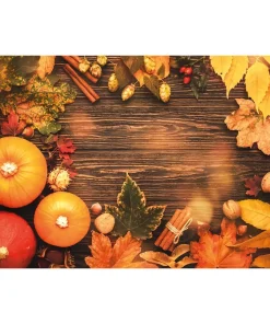 Tischset Platzsets MOTIV abwaschbar Kürbisse Herbstlaub Zimtstangen Holz bunt