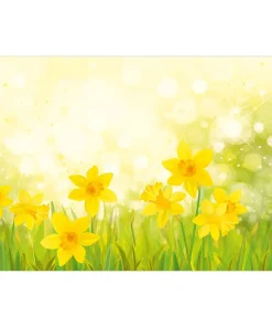 Tischsets Platzsets MOTIV abwaschbar Frühling gelbe Osterglöckchen Blumen