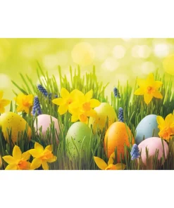 Tischsets Platzsets MOTIV abwaschbar Ostereier Osterglocken Blumenwiese bunt