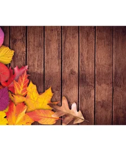 Tischsets Platzsets MOTIV abwaschbar buntes Herbstlaub Blätter Holz bunt