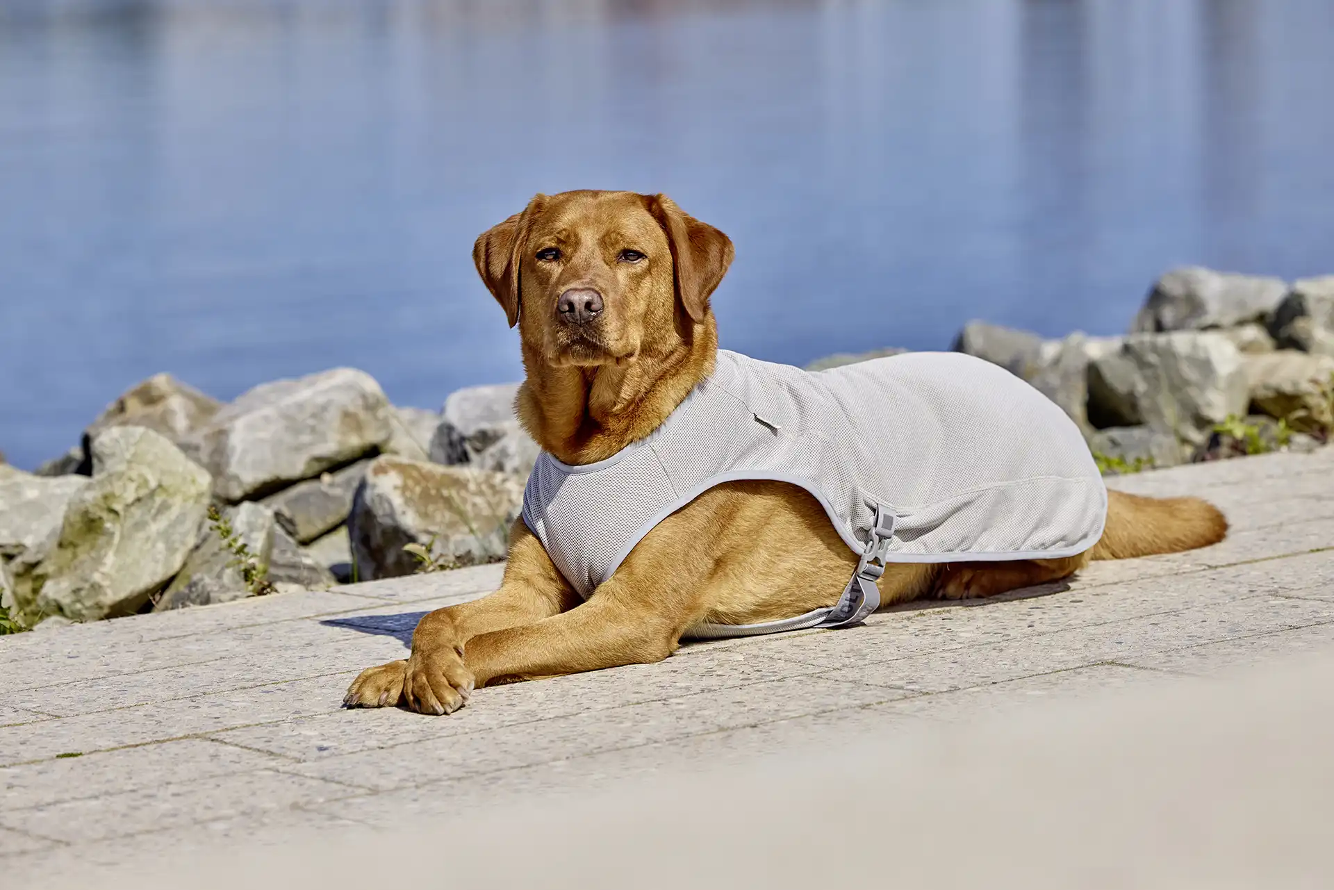 Wolters watchout Kühlweste, absorbiert Wasser für eine natürliche Kühlung, waschbar bei 30°, perfekt für unterwegs und Reisen (XS, S, M, XL)