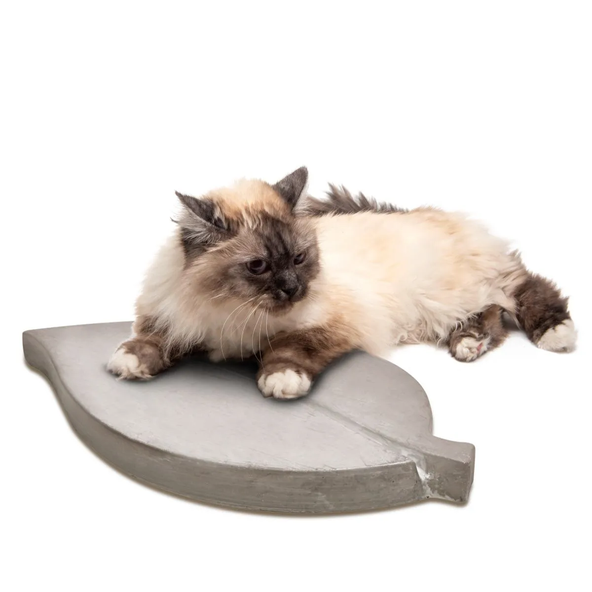 XXL Trittsteine große Blätter Garten 1 Paar Tritt-Steine Beton 35×18 cm