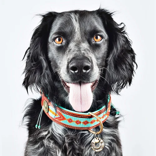 Perlen-Leder-Halsband „Pady Lee“ (XL) – Bild 5