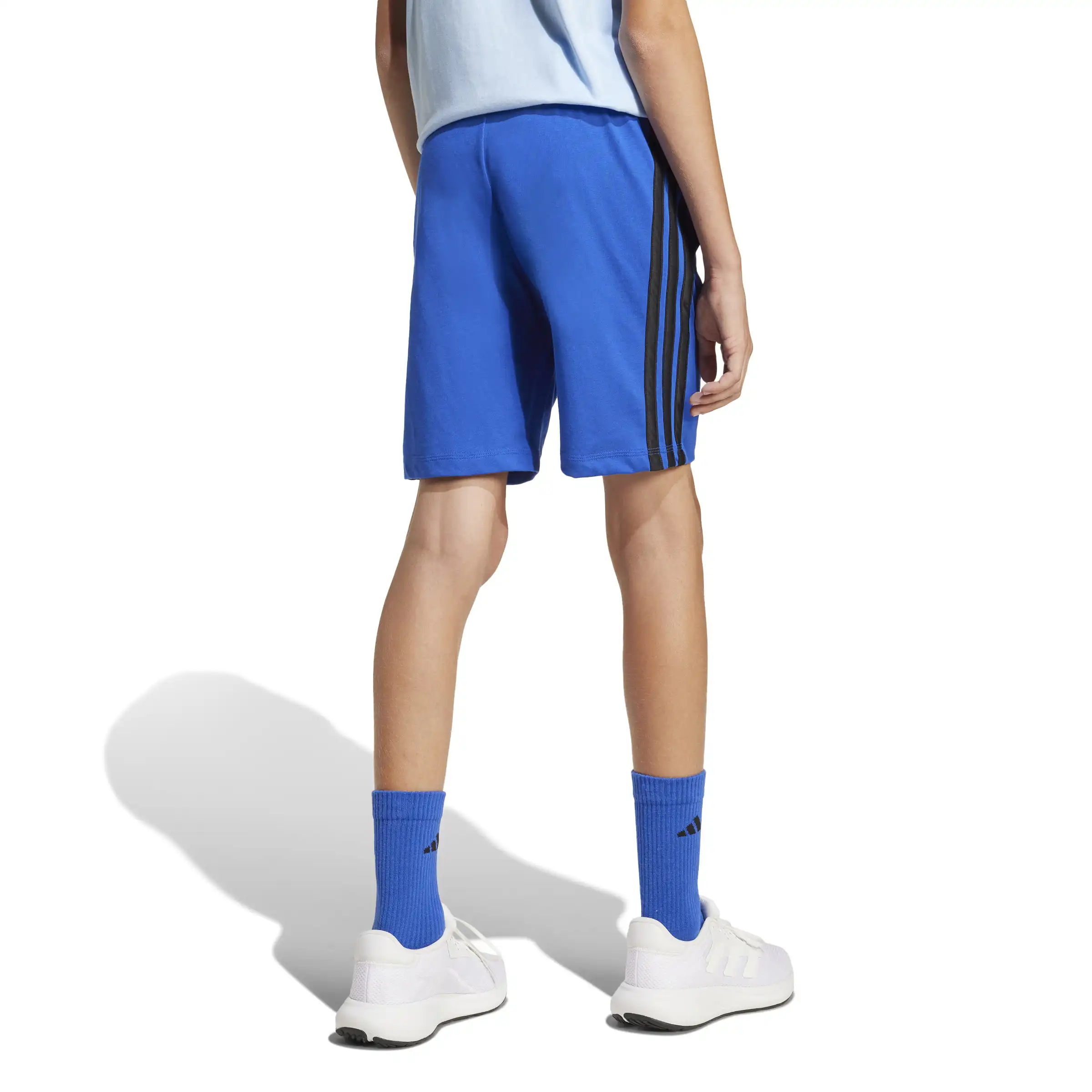 J 3S KN SH 210 – Bild 5