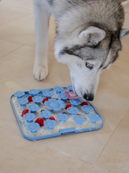 2in1 Schleckmatte mit Saugnäpfen, BPA-frei, 25cm, Level 2, Sand – Bild 6