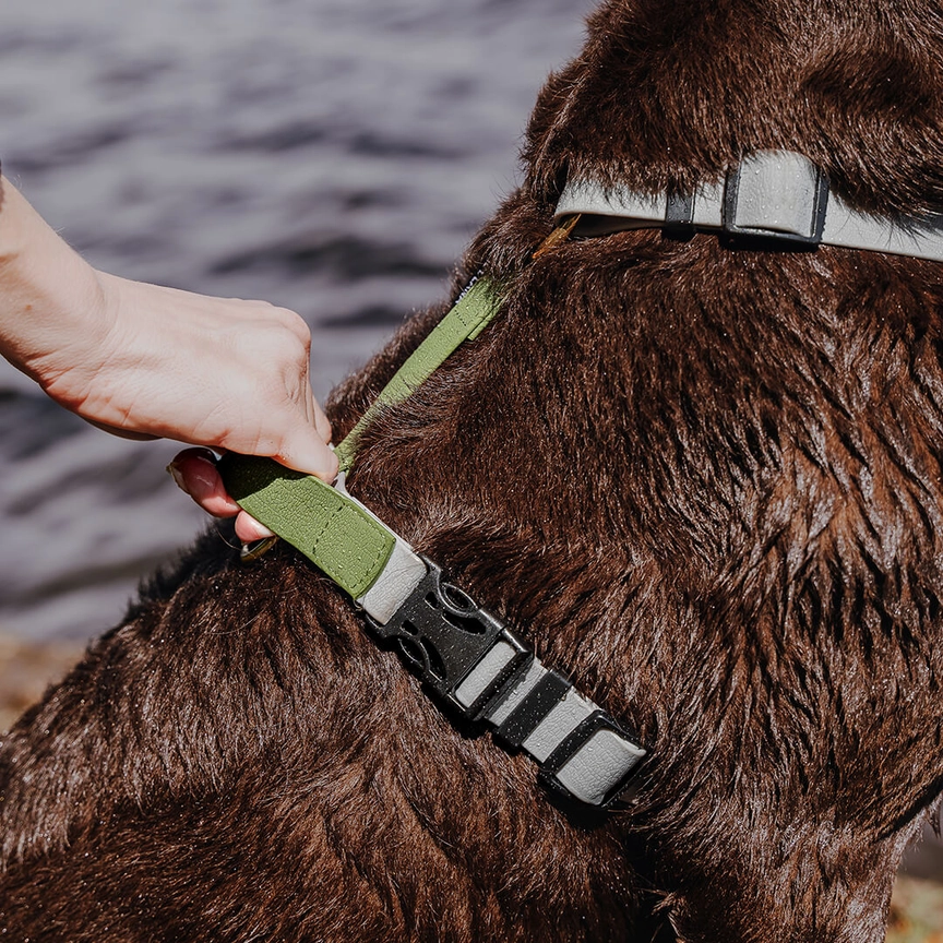 Hey Lana Outdoor Flex-Biothane, 5-fach-verstellbar, mit Haltegriff „grau/grün“ (super pflegeleicht), S, M, L – Bild 4