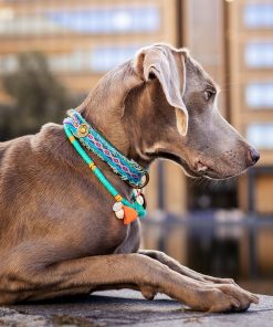 DWAM Coco Beach Hunde Kette (30, 75 cm)
