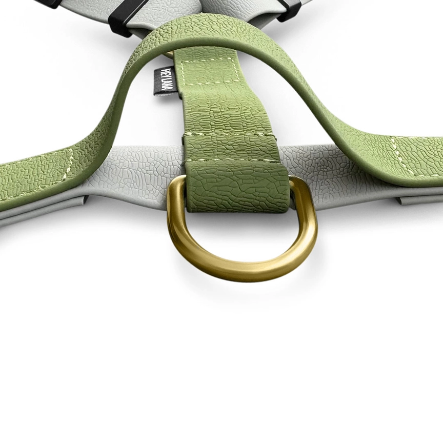 Hey Lana Outdoor Flex-Biothane, 5-fach-verstellbar, mit Haltegriff „grau/grün“ (super pflegeleicht), S, M, L – Bild 3