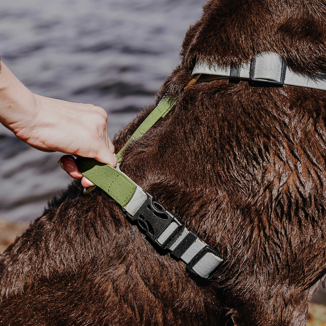 Hey Lana Outdoor Flex-Biothane, 5-fach-verstellbar, mit Haltegriff „grau/grün“ (super pflegeleicht), S, M, L – Bild 8