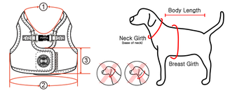 Westen-Geschirr, Quinn, Karo blau (Puppia) S, L – Bild 5