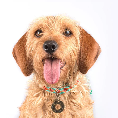 Perlen-Leder-Halsband „Pady Lee“ (XL) – Bild 4