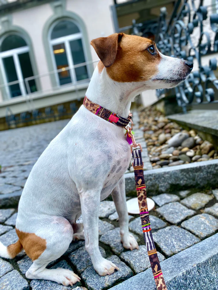 PELLINA 3-fach verstellbare Leine „Freaky Animal“, 20mm, 1,8m, M, 2cm – Bild 3