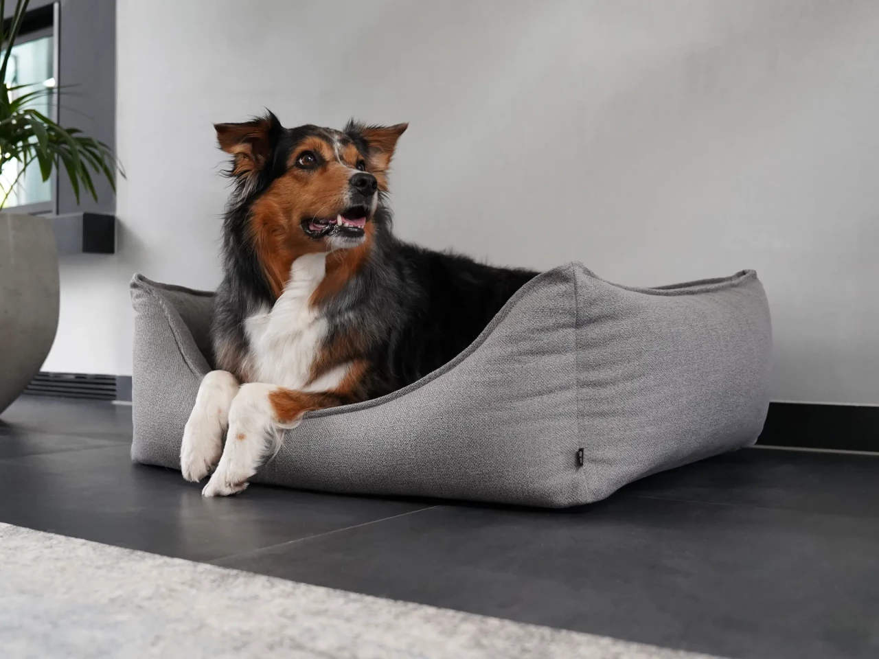 mypado Dreamer Structure Hundebett, waschbar, Made in Germany, 90x70cm, anthrazit (Standard Plus Füllung = Vollschaum) – Bild 7
